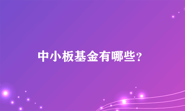 中小板基金有哪些？