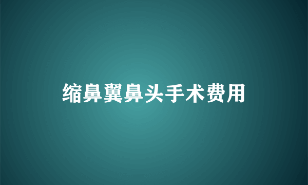 缩鼻翼鼻头手术费用