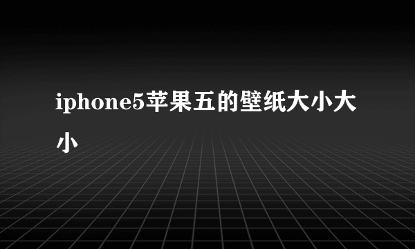 iphone5苹果五的壁纸大小大小