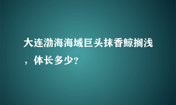 大连渤海海域巨头抹香鲸搁浅，体长多少？