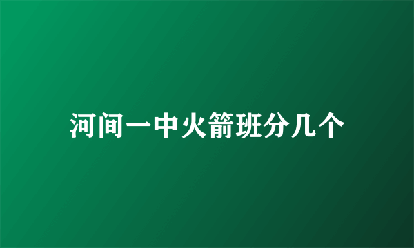 河间一中火箭班分几个