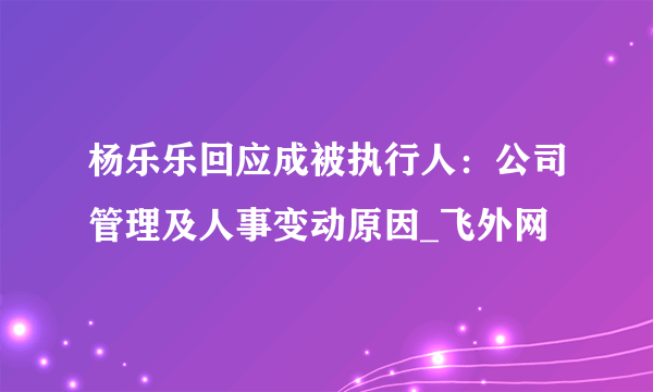 杨乐乐回应成被执行人：公司管理及人事变动原因_飞外网