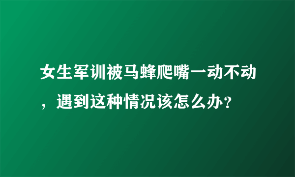 女生军训被马蜂爬嘴一动不动，遇到这种情况该怎么办？