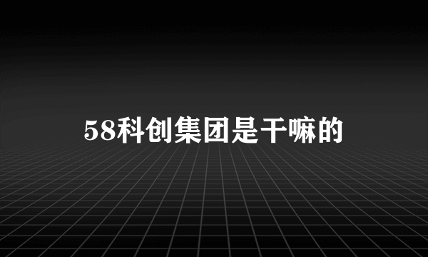 58科创集团是干嘛的