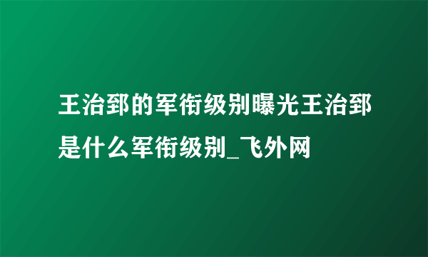 王治郅的军衔级别曝光王治郅是什么军衔级别_飞外网