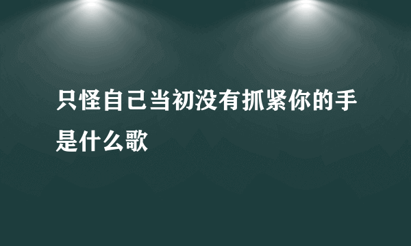 只怪自己当初没有抓紧你的手是什么歌