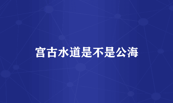 宫古水道是不是公海