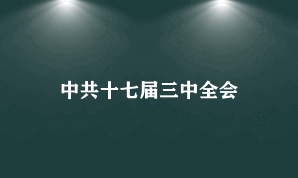 中共十七届三中全会