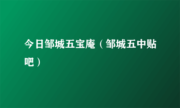 今日邹城五宝庵（邹城五中贴吧）