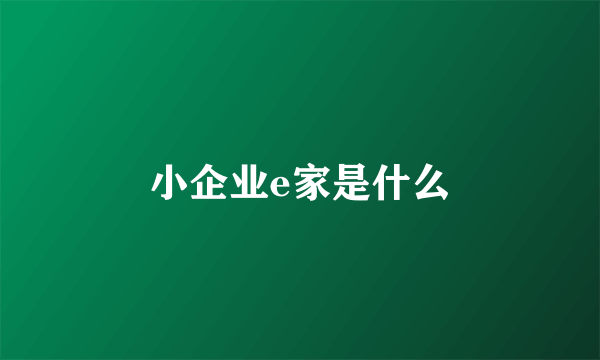 小企业e家是什么