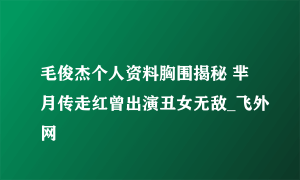 毛俊杰个人资料胸围揭秘 芈月传走红曾出演丑女无敌_飞外网