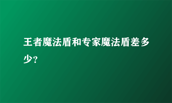 王者魔法盾和专家魔法盾差多少？