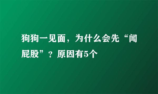 狗狗一见面，为什么会先“闻屁股”？原因有5个