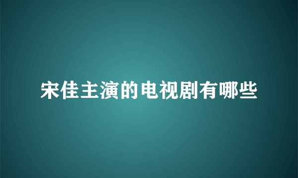 宋佳主演的电视剧有哪些