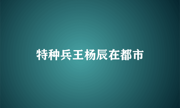 特种兵王杨辰在都市