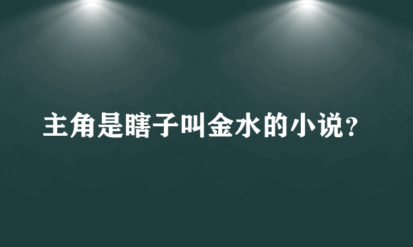 主角是瞎子叫金水的小说？