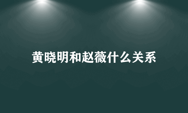 黄晓明和赵薇什么关系