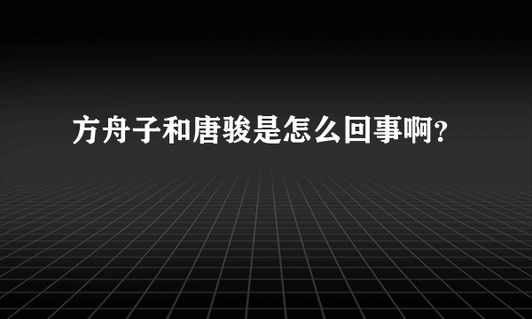 方舟子和唐骏是怎么回事啊？