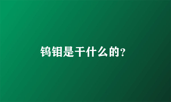 钨钼是干什么的？