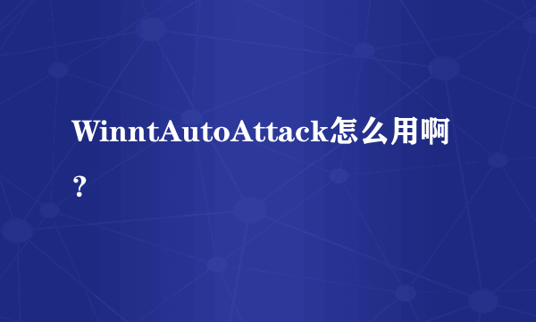 WinntAutoAttack怎么用啊？