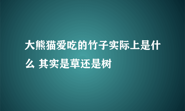 大熊猫爱吃的竹子实际上是什么 其实是草还是树