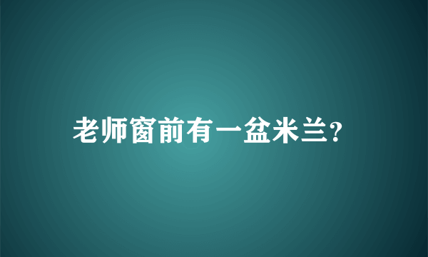 老师窗前有一盆米兰？