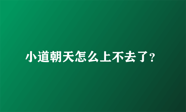 小道朝天怎么上不去了？