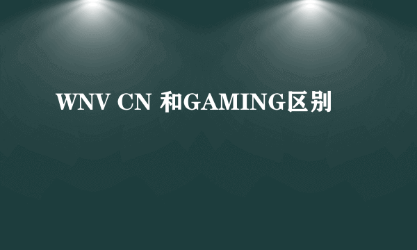 WNV CN 和GAMING区别