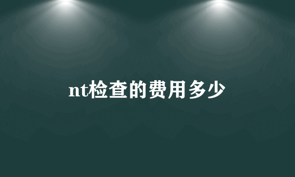 nt检查的费用多少