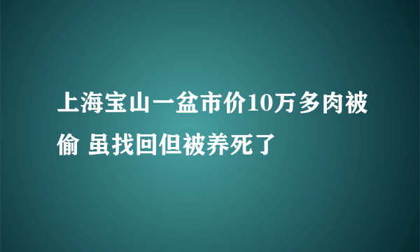 上海宝山一盆市价10万多肉被偷 虽找回但被养死了