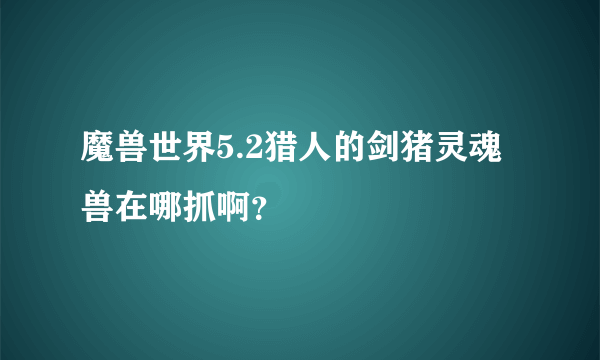 魔兽世界5.2猎人的剑猪灵魂兽在哪抓啊？