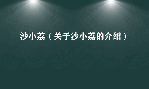 沙小荔（关于沙小荔的介绍）