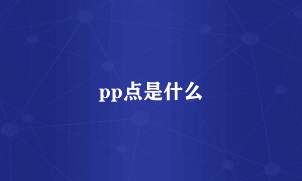 pp点是什么