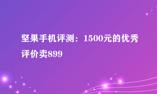 坚果手机评测：1500元的优秀评价卖899