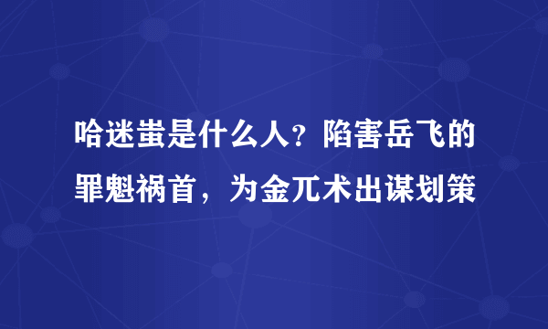 哈迷蚩是什么人？陷害岳飞的罪魁祸首，为金兀术出谋划策