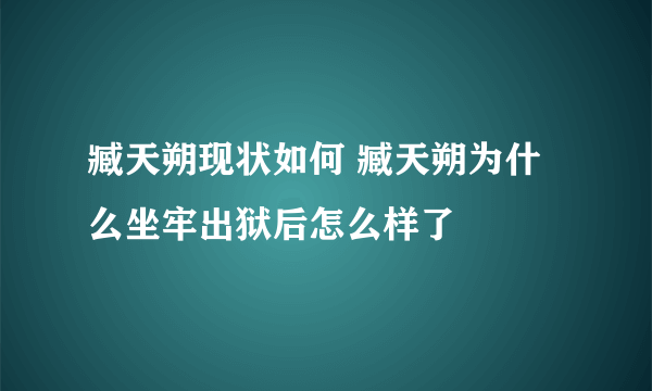 臧天朔现状如何 臧天朔为什么坐牢出狱后怎么样了