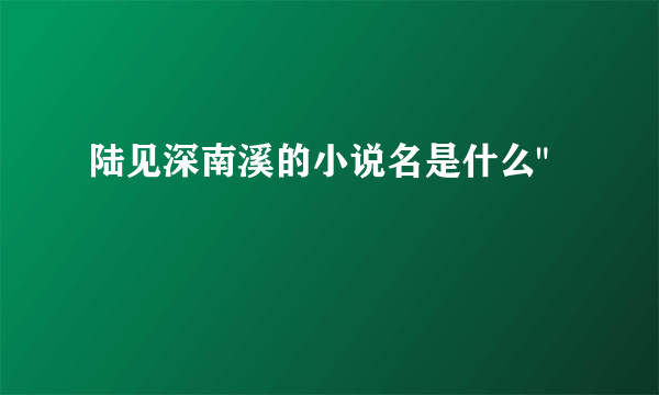 陆见深南溪的小说名是什么