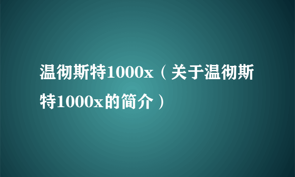 温彻斯特1000x（关于温彻斯特1000x的简介）