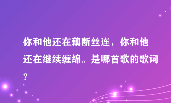 你和他还在藕断丝连，你和他还在继续缠绵。是哪首歌的歌词？