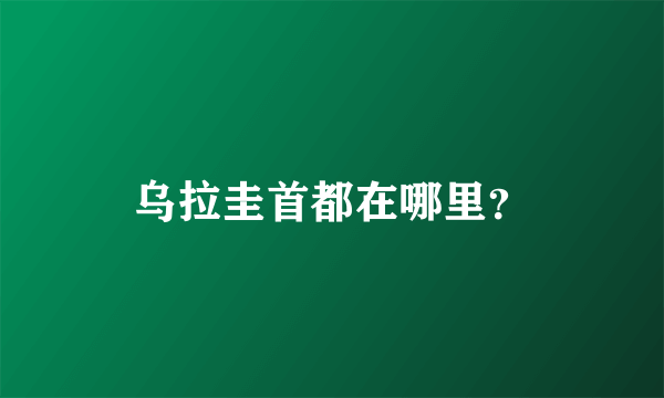 乌拉圭首都在哪里？