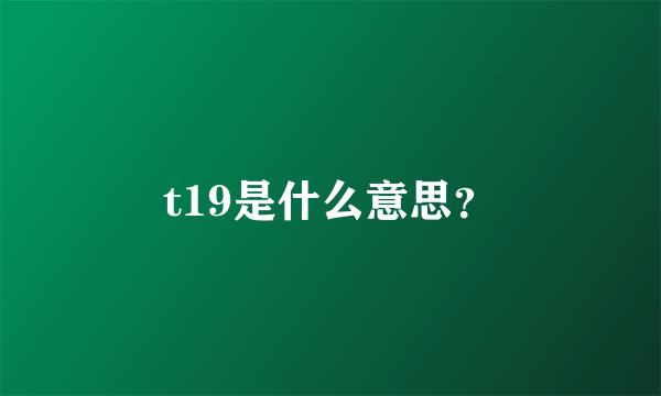 t19是什么意思？