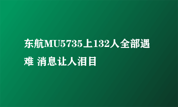 东航MU5735上132人全部遇难 消息让人泪目