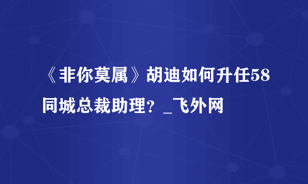 《非你莫属》胡迪如何升任58同城总裁助理？_飞外网