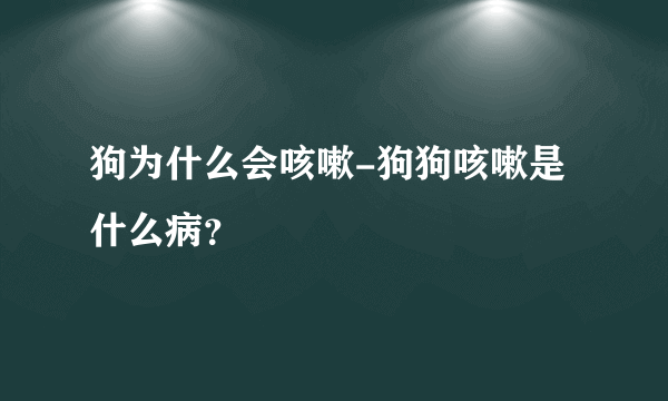 狗为什么会咳嗽-狗狗咳嗽是什么病？