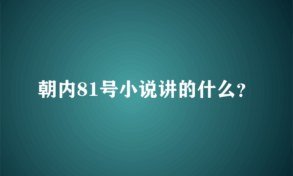 朝内81号小说讲的什么？