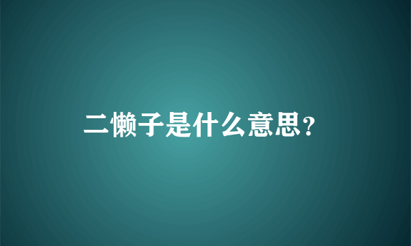 二懒子是什么意思？