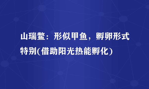 山瑞鳖：形似甲鱼，孵卵形式特别(借助阳光热能孵化)