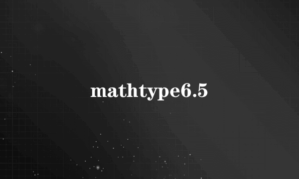 mathtype6.5