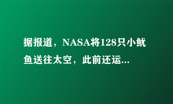 据报道，NASA将128只小鱿鱼送往太空，此前还运送过哪些东西？