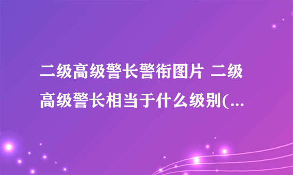 二级高级警长警衔图片 二级高级警长相当于什么级别( 二 )